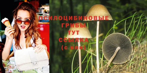 соль ск Гвардейск