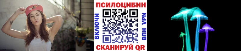 ОМГ ОМГ маркетплейс  Полысаево  Псилоцибиновые грибы MAGIC MUSHROOMS  купить наркотик 