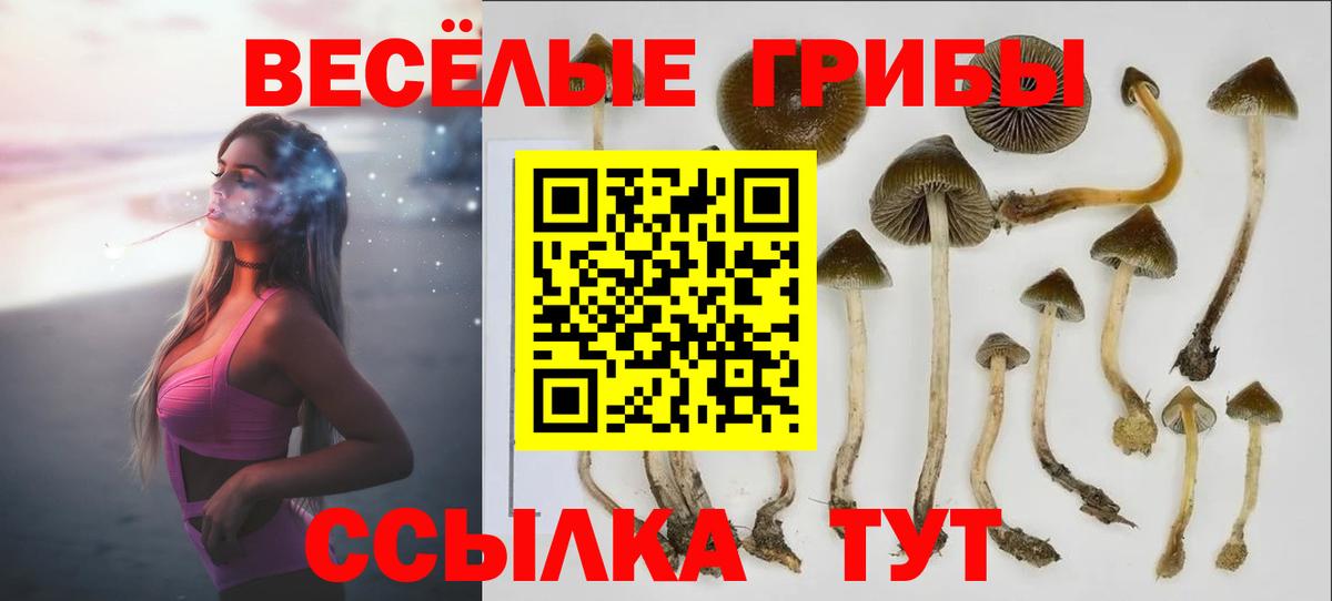 Псилоцибиновые грибы мухоморы Полысаево
