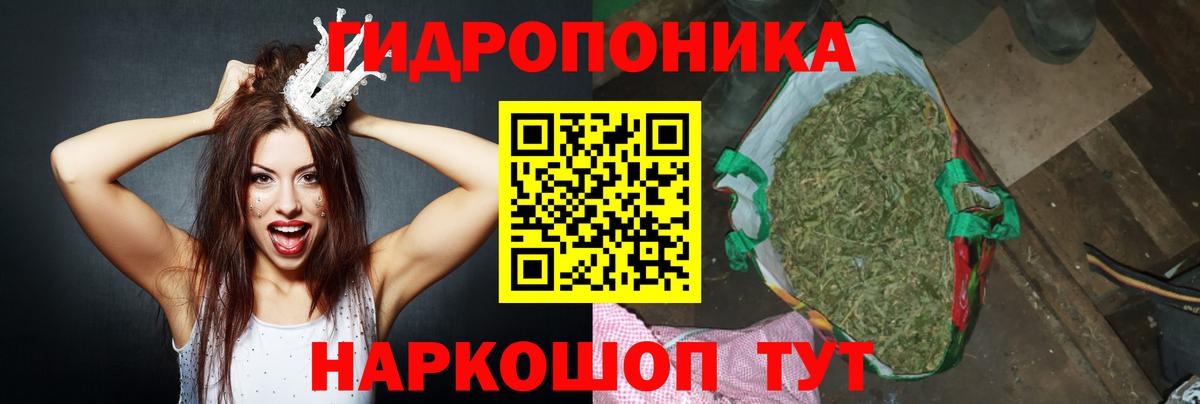 Конопля план Полысаево
